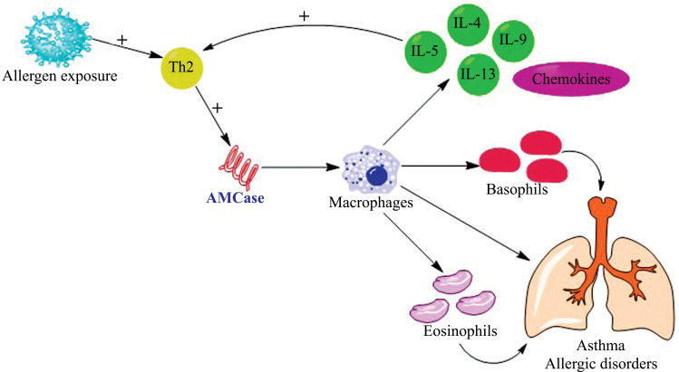 Fig. (3)