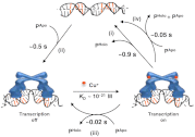 Fig. 6.