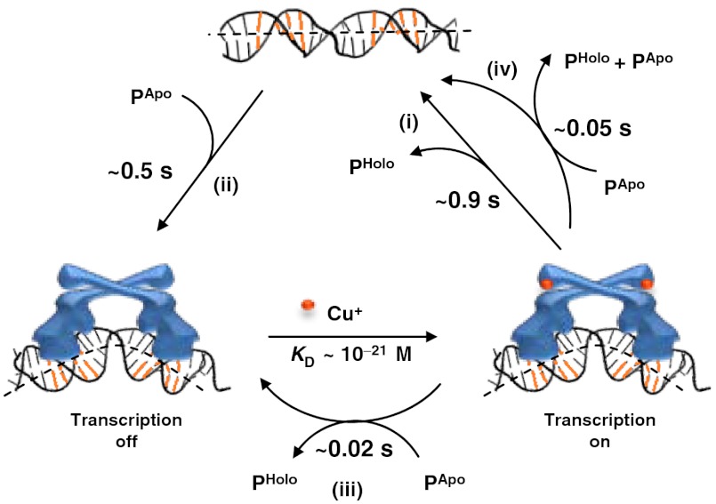 Fig. 6.