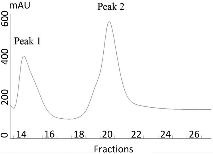 FIG 1