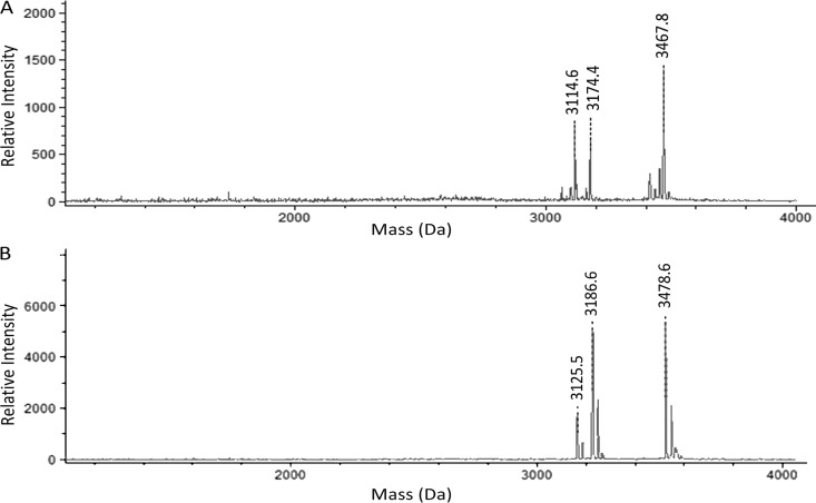 FIG 2