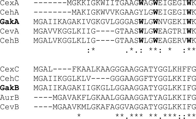 FIG 3