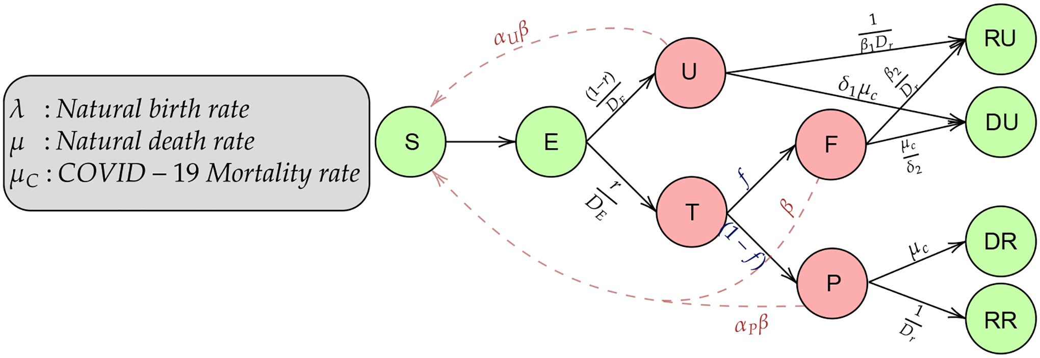 FIGURE 1