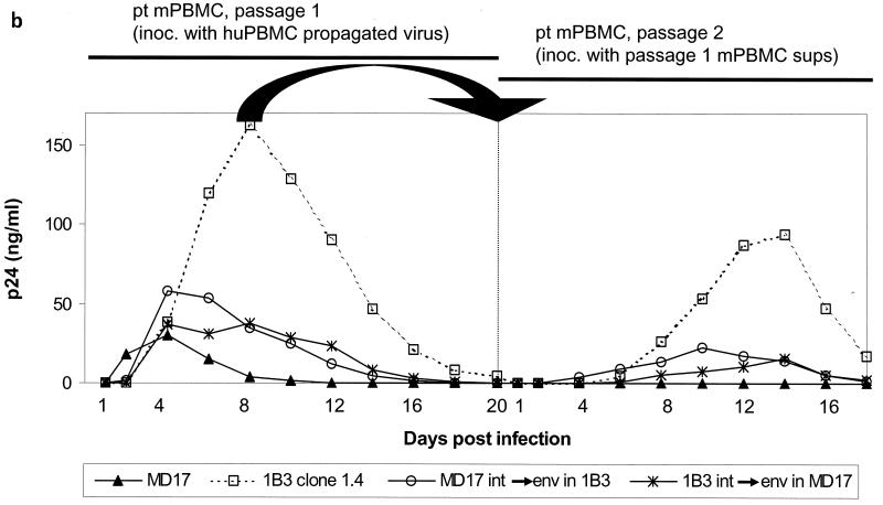 FIG. 7.