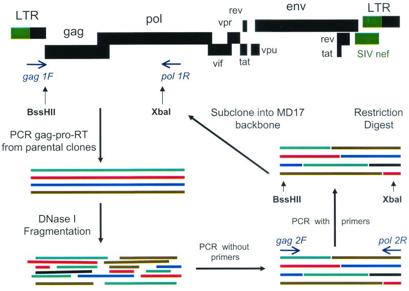 FIG. 2.