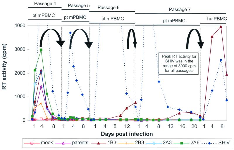 FIG. 3.