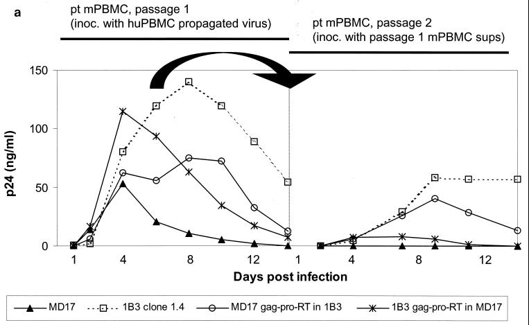 FIG. 7.