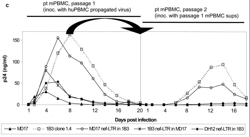 FIG. 7.