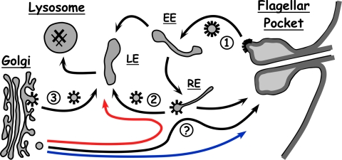 FIG. 8.