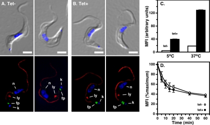 FIG. 7.