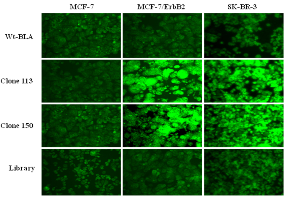 Fig. (6)