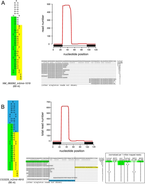 Figure 6.