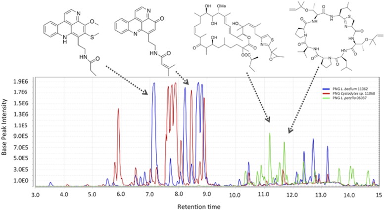 Figure 6