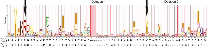 FIGURE 1.