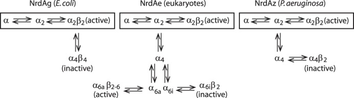 FIGURE 8.