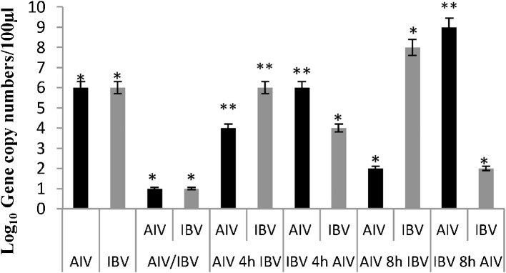 Fig. 8