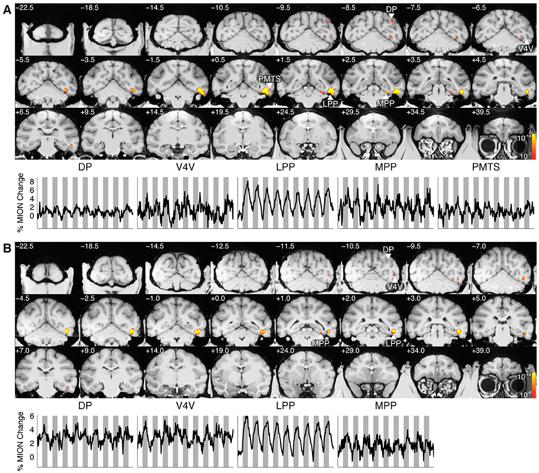 Figure 3: