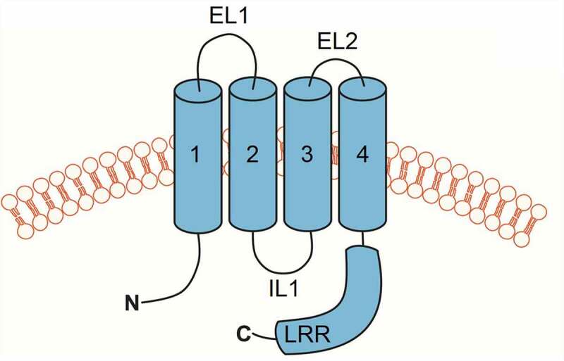 Figure 3.