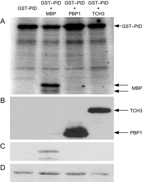 Figure 6.