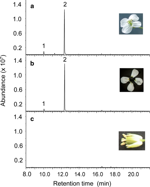 Fig. 2