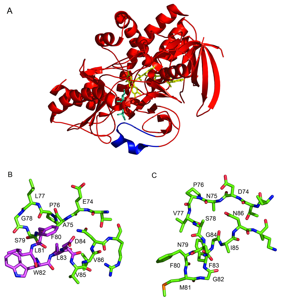 Fig. 1