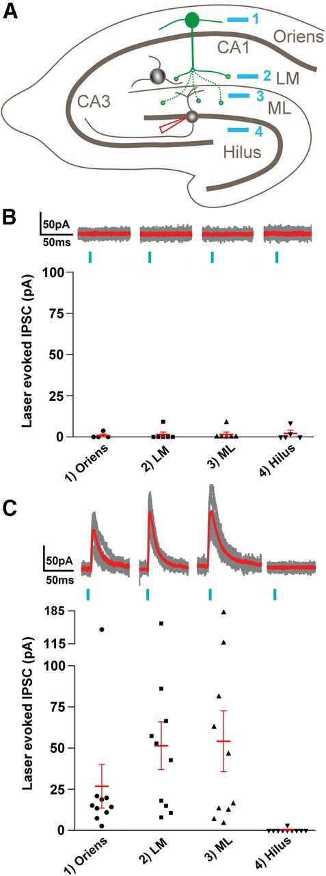 Figure 9.