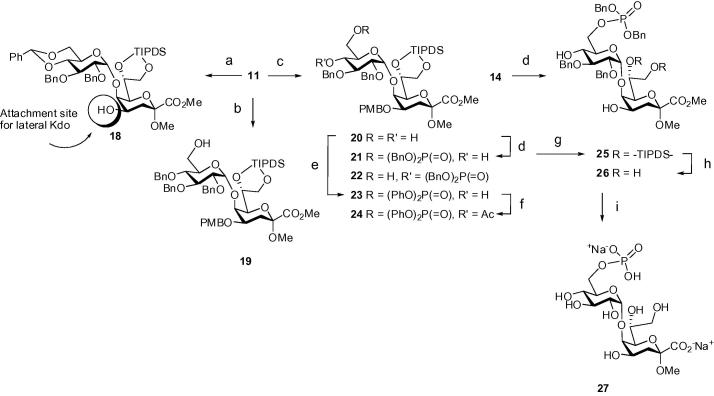 Scheme 3