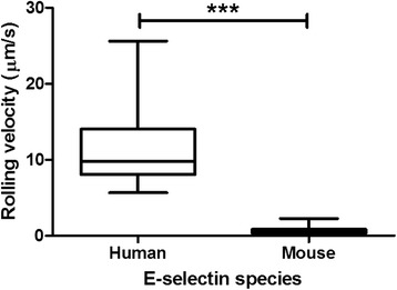 Fig. 11