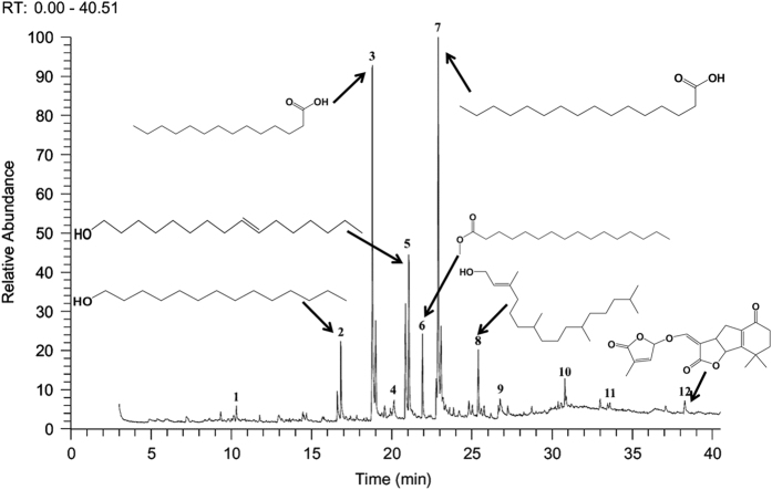 Figure 5