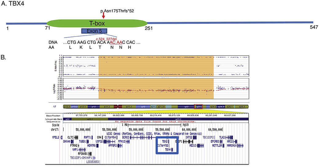 Figure 2: