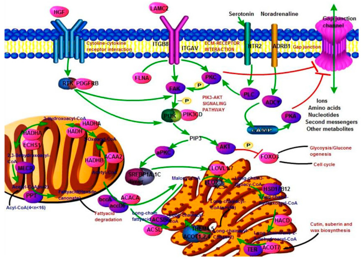 Figure 7