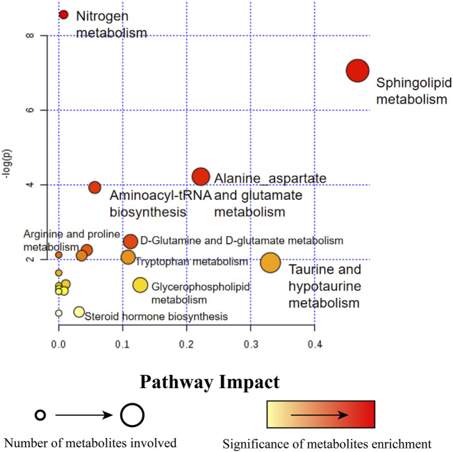 FIGURE 6