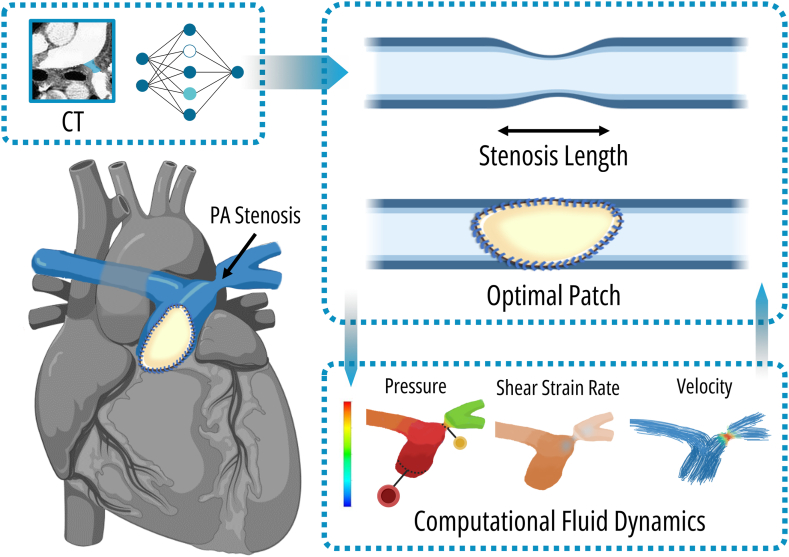 Figure 3