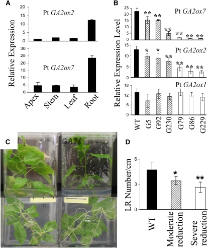 Figure 10.