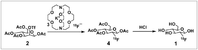 SCHEME 1