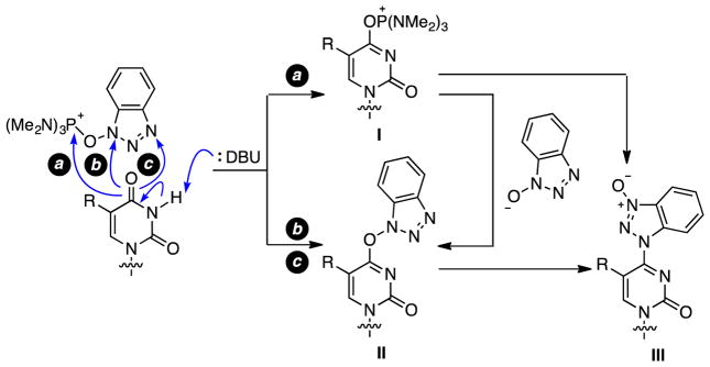 Scheme 1