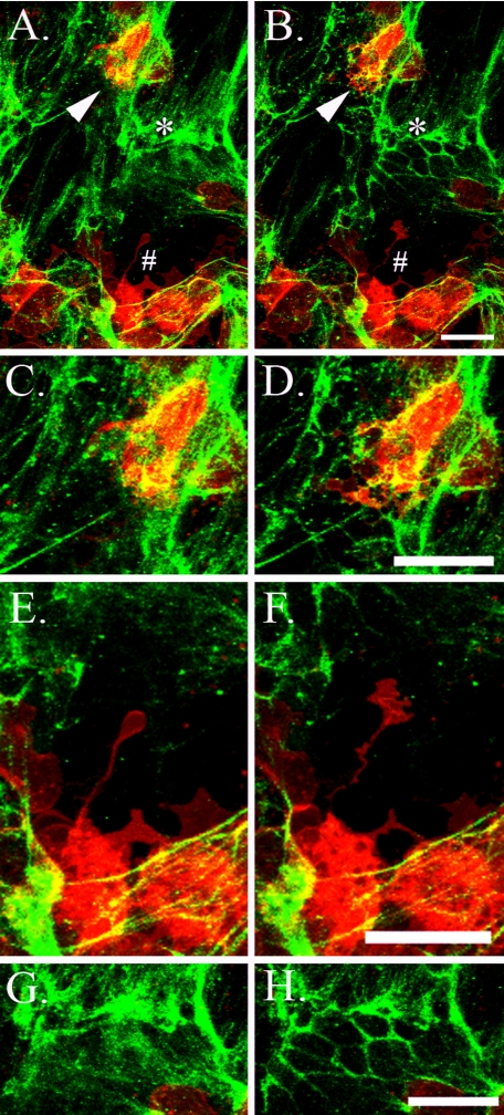 FIGURE 10.