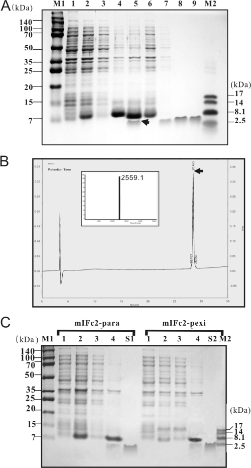 FIG. 3.