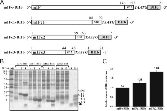 FIG. 2.