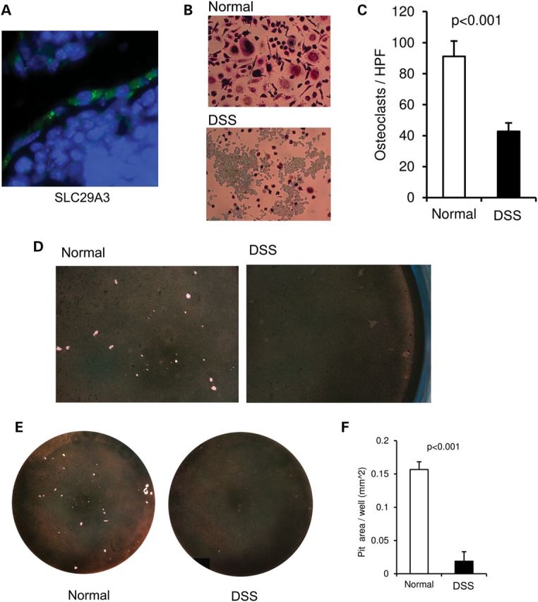 Figure 3.