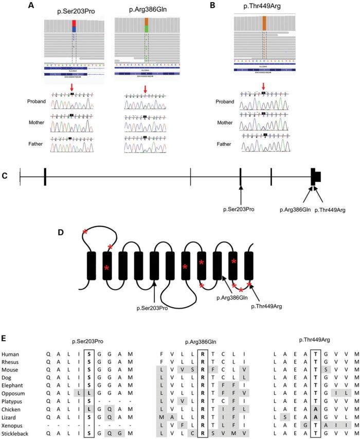 Figure 2.