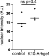 Figure 7—figure supplement 5.