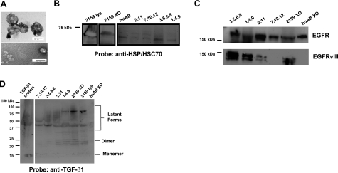 Figure 10.