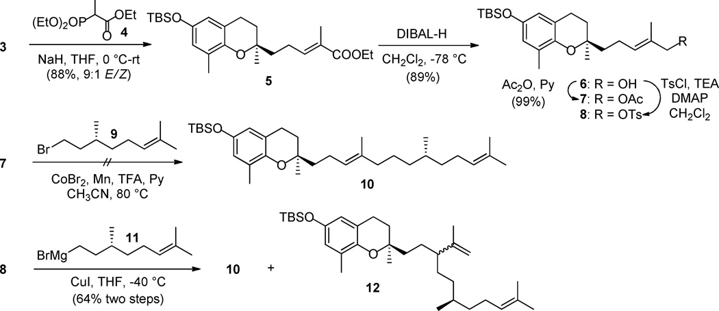 Scheme 2