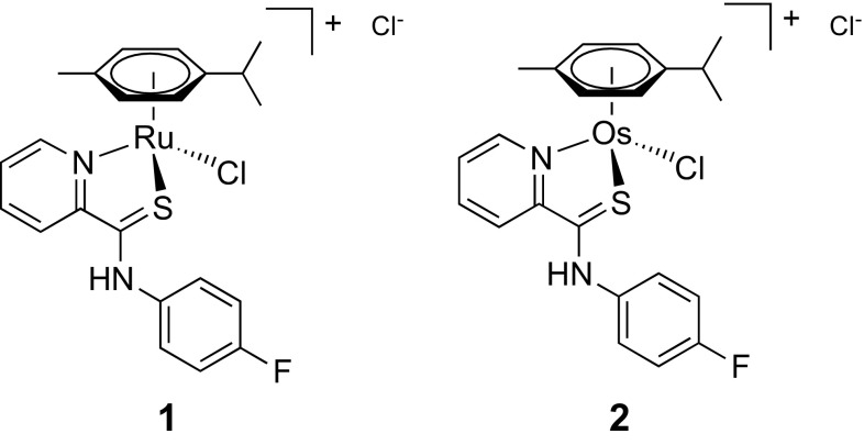 Fig. 1