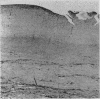 64
