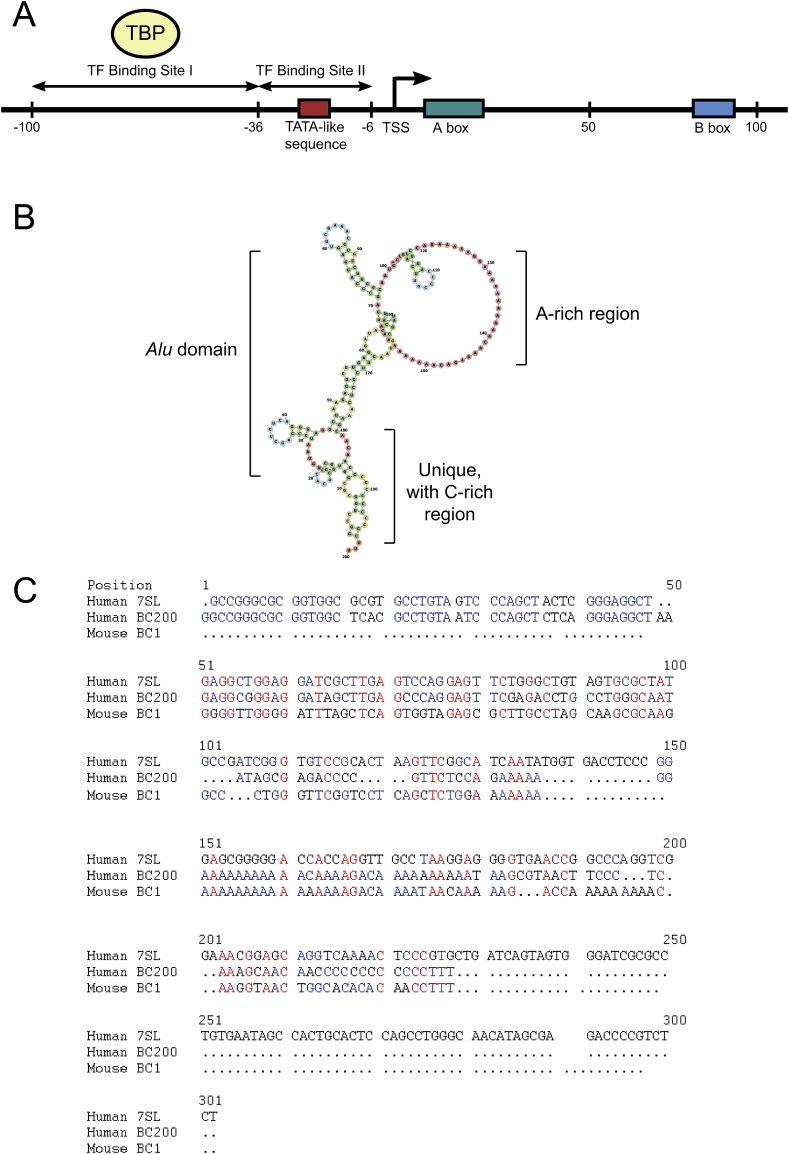 Fig. 1