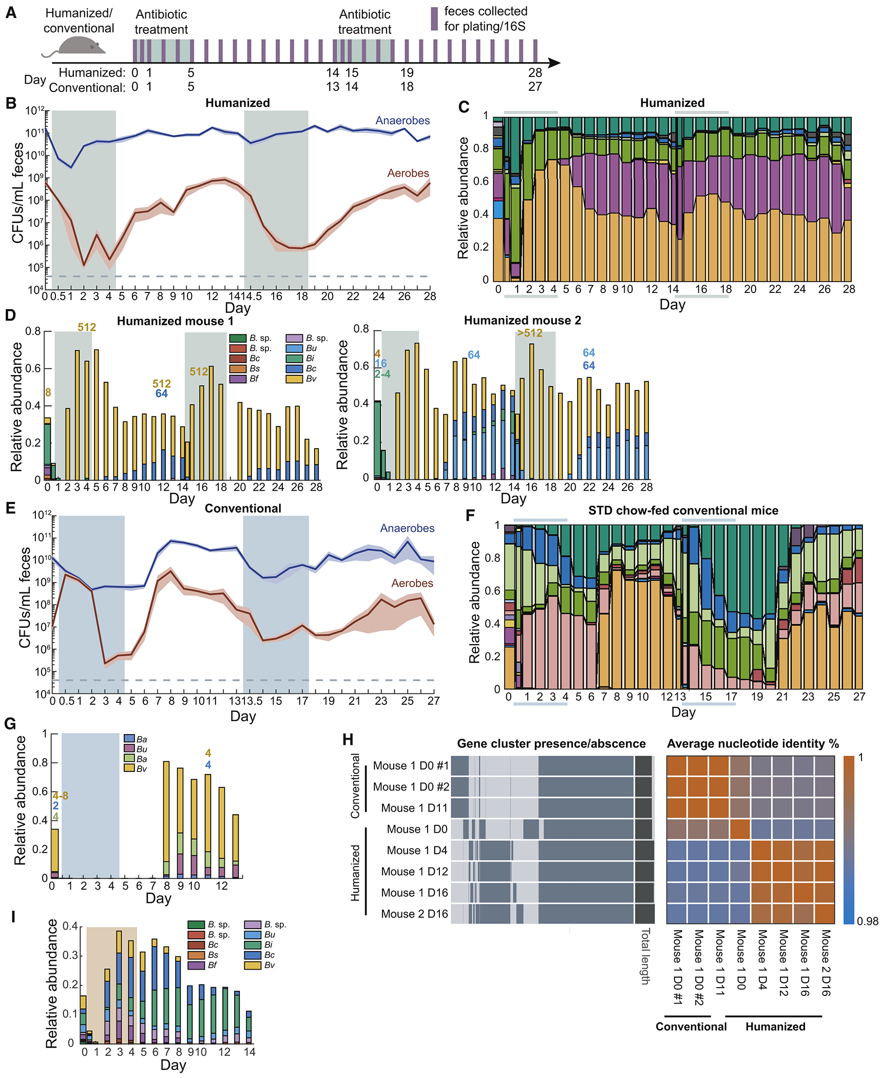 Figure 3: