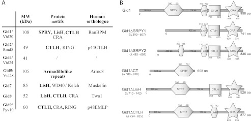 FIGURE 1.