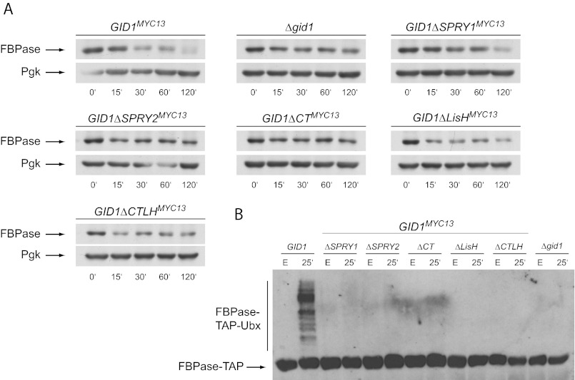 FIGURE 2.